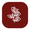 Bio
