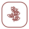 Bio